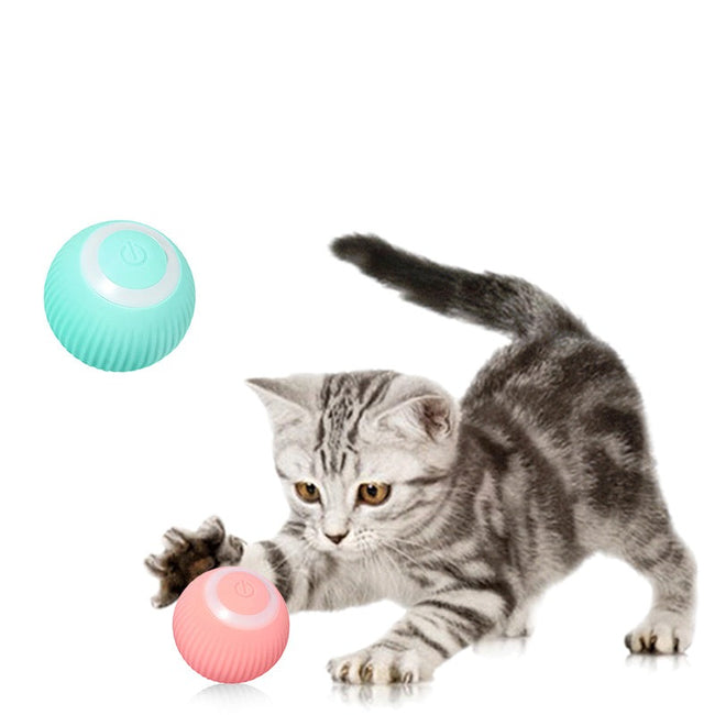 Smart Rolling Cats Toys - Cat lover toys-Cat Toys-Golonzo