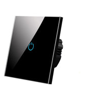 Wall Touch Switch 220V EU Standard Tempered-Light Switches-Golonzo