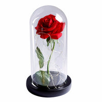 Immortal Rose Flower-Artificial flower-Golonzo