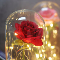 Immortal Rose Flower-Artificial flower-Golonzo