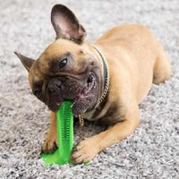 STRESS-FREE DIY Dog Toothbrush-Dog Supplies-Golonzo