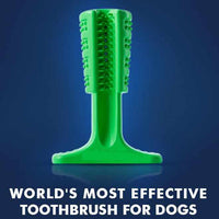 STRESS-FREE DIY Dog Toothbrush-Dog Supplies-Golonzo