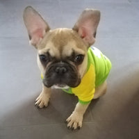 Cartoon Puppy Dog Hoodie Sweatshirt Winter Pet Clothes for Small Dogs-Dog Supplies-Golonzo