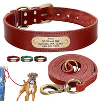 Personalized Pet Collar - Custom Leather Dog Collar Leash Set-Pet Collars & Harnesses-Golonzo