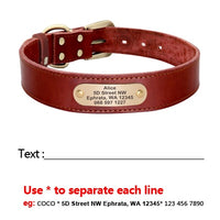 Personalized Pet Collar - Custom Leather Dog Collar Leash Set-Pet Collars & Harnesses-Golonzo