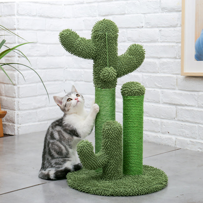 Cactus Cat Toys Scratcher-Cat Toys-Golonzo