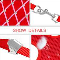 Nylon Mesh Vest Cat Harnesses with Leash Set-Pet Collars & Harnesses-Golonzo