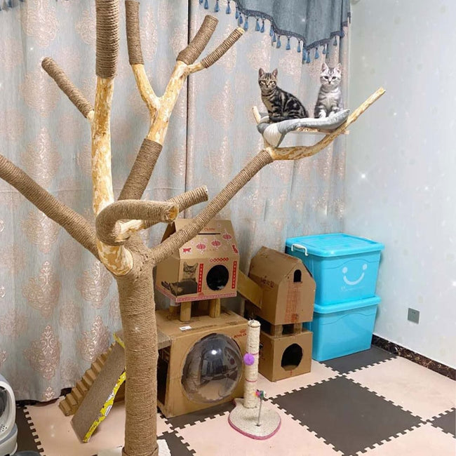 DIY Cat Scratcher Rope Twisted Sisal Rope Replacement Cat Tree Scratching Toy Cat-Cat Bed-Golonzo