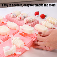 Ice Cream Mold And plastic rods - Ice Cream maker Set-Ice Cream Makers-Golonzo