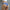 Sexy Vintage Mini Short Jeans Booty Shorts-Shorts-Golonzo