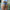 Sexy Vintage Mini Short Jeans Booty Shorts-Shorts-Golonzo