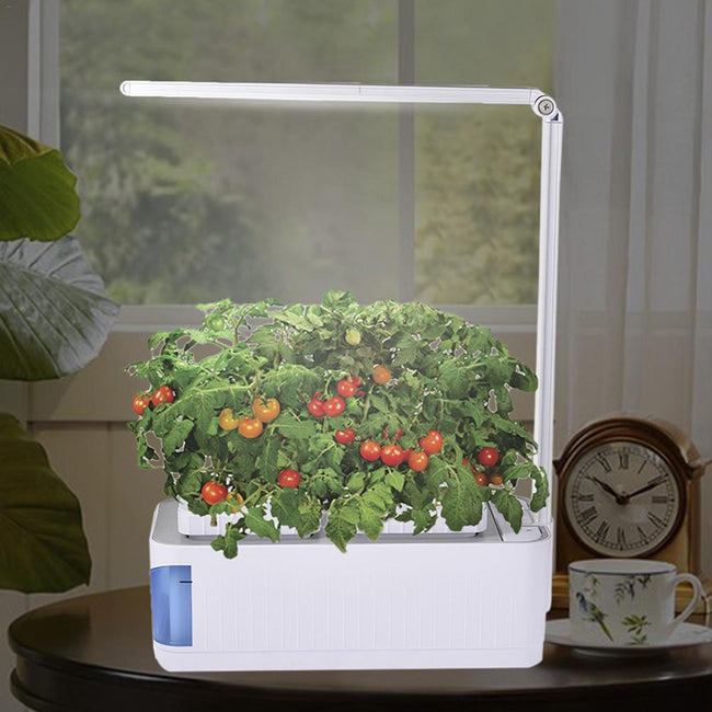 Hydroponic Indoor Herb Garden With Lamp-Nursery Pots-Golonzo