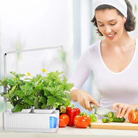 Hydroponic Indoor Herb Garden With Lamp-Nursery Pots-Golonzo