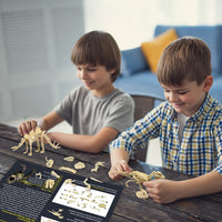 Dinosaur Fossil Digging Kit-Puzzles-Golonzo