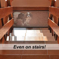 Safety Dog gate For Your Lovely Dog-Pet Doors-Golonzo