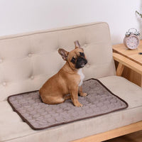 Pet Cooling Mat for Summer-Mattresses-Golonzo