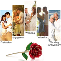 Eternal Love - Rose With Stand for Precious Gift-Artificial Flora-Golonzo