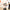 Wireless Handheld Vacuum - Vacuum Cleaner for Household-Vacuums-Golonzo
