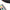 Edible Pigment Pen Food Color Brush for Cake Decorating-Edible Baking Decorations-Golonzo