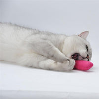 Funny Cat Toy-Cat Toys-Golonzo