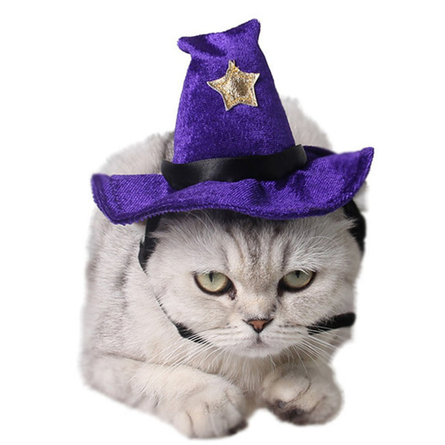 Funny Pet Halloween Costumes Party Witch Hat-Costume Hats-Golonzo