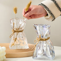 Glass Vase = Home Decoration l Dried Flower Vase-Decorative Jars-Golonzo