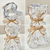 Glass Vase = Home Decoration l Dried Flower Vase-Decorative Jars-Golonzo