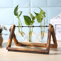 Glass and Wood Vase Planter Terrarium Table Desktop Hydroponics Plant Bonsai Flower Pot Hanging Pots-Flower Pots-Golonzo