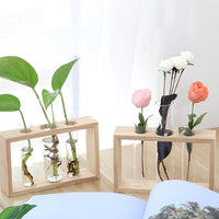 Glass and Wood Vase Planter Terrarium Table Desktop Hydroponics Plant Bonsai Flower Pot Hanging Pots-Flower Pots-Golonzo