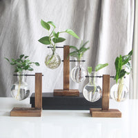 Glass and Wood Vase Planter Terrarium Table Desktop Hydroponics Plant Bonsai Flower Pot Hanging Pots-Flower Pots-Golonzo