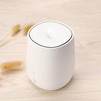Zen Aromatherapy Humidifier-Golonzo