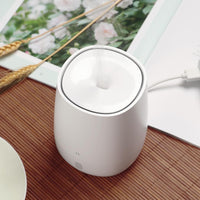 Zen Aromatherapy Humidifier-Golonzo