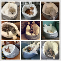 Pet Cozy Bed for Cat and Dog-Cat Bed-Golonzo