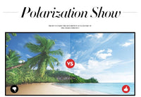 Pilot Polarized Sun Glasses-Sunglasses-Golonzo