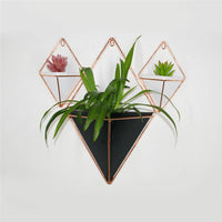 Innovative Hanging Planter Vase Geometric Wall Decor Container Succulent Plants-vase-Golonzo
