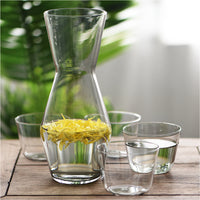 Jug Pitcher Glass set-Drinkware Sets-Golonzo