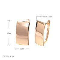 585 Rose Gold Glossy High Quality Dangle Earrings for Women-Earrings-Golonzo