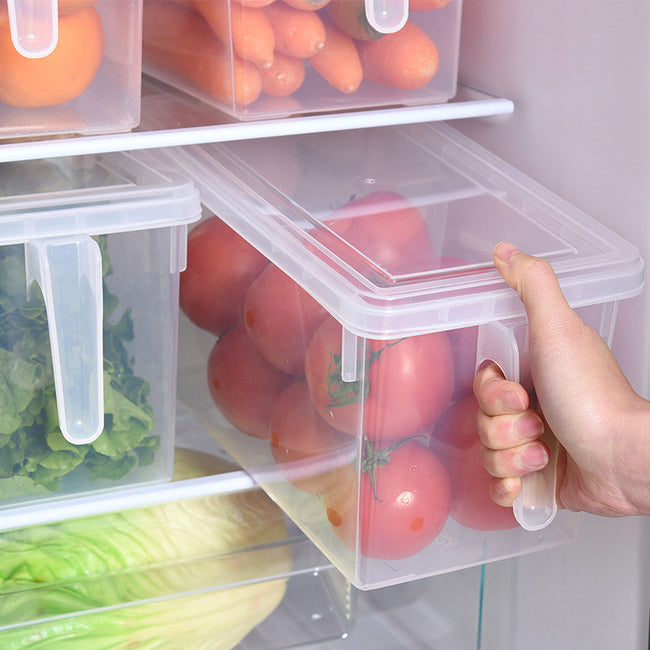 Refrigerator Storage Boxes-Food Storage-Golonzo
