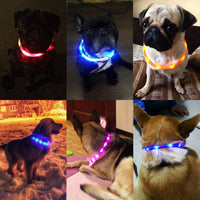 LED Glowing Dog Collar - USB Charging Pet Dog Collar-collar and harness-Golonzo