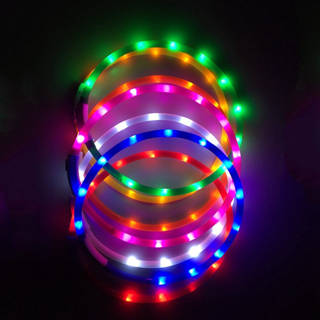 LED Glowing Dog Collar - USB Charging Pet Dog Collar-collar and harness-Golonzo