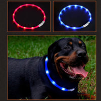 LED Glowing Dog Collar - USB Charging Pet Dog Collar-collar and harness-Golonzo