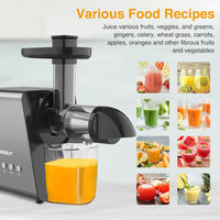 Slow Juicer Vegetables And Fruits Squeezer High Nutrition-Juicers-Golonzo