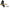 Illuminated Magnifier USB 3 Colors LED - LED Magnifying Glass-Magnifiers-Golonzo
