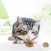 Natural Catnip - Matatabi Ball Stick on Wall - Healthy For Cat-Cat Toys-Golonzo