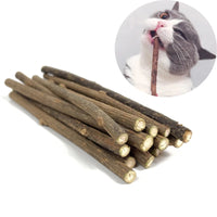 Natural Catnip - Toothpaste Stick Matatabi-Golonzo