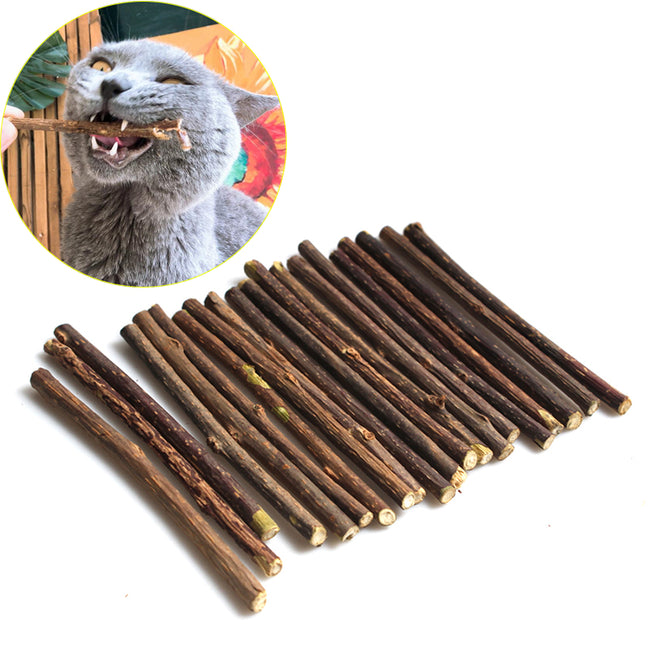 Natural Catnip - Toothpaste Stick Matatabi-Golonzo