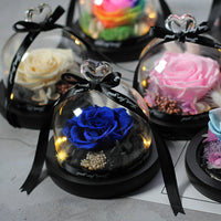 Enchanted LED Light Beauty Rose in a Glass with Black Base-Artificial flower-Golonzo