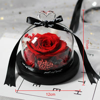 Enchanted LED Light Beauty Rose in a Glass with Black Base-Artificial flower-Golonzo