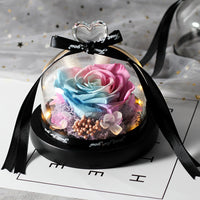 Enchanted LED Light Beauty Rose in a Glass with Black Base-Artificial flower-Golonzo