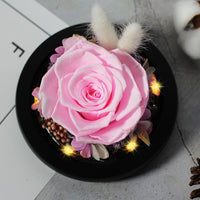 Enchanted LED Light Beauty Rose in a Glass with Black Base-Artificial flower-Golonzo